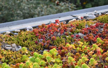the cost of Ilmington green roof installation