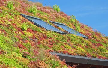 Ilmington living roof systems