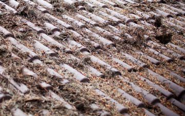 Ilmington roof cleaning companies