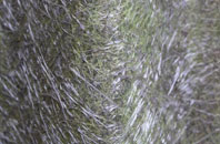 Ilmington fibreglass roof work